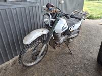 Lot 37